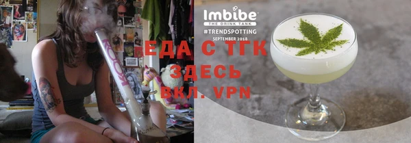 индика Богородск