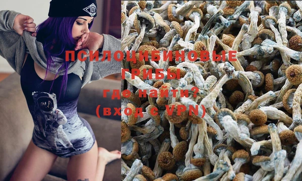 спайс Ладушкин