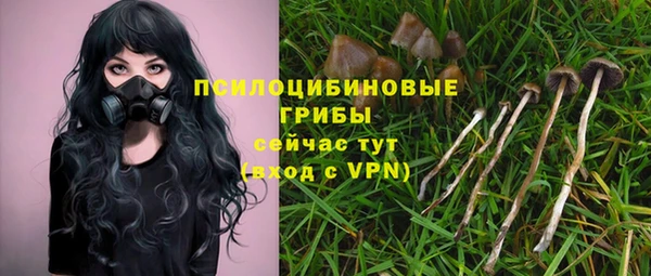 Альфа ПВП Лиски