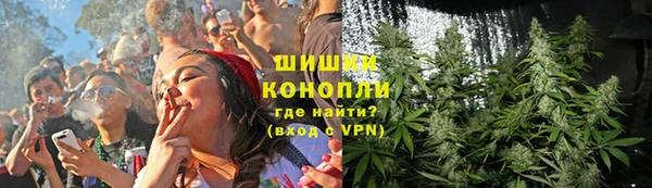 индика Богородск