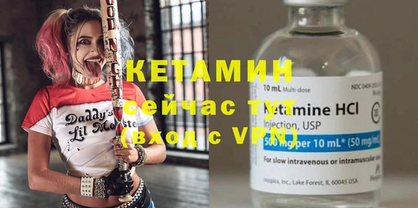 индика Богородск