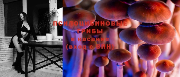 Альфа ПВП Лиски
