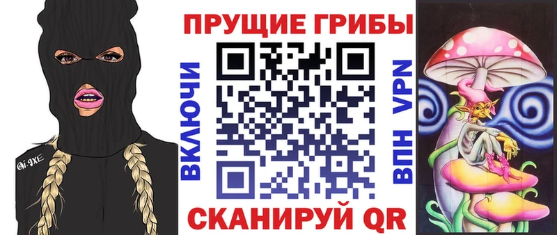 Галлюциногенные грибы Psilocybine cubensis магазин Верхоянск